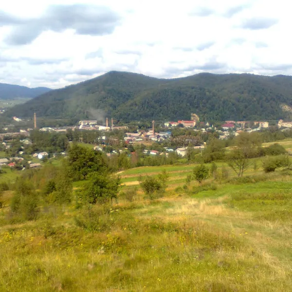 Patsykiv — photo 1