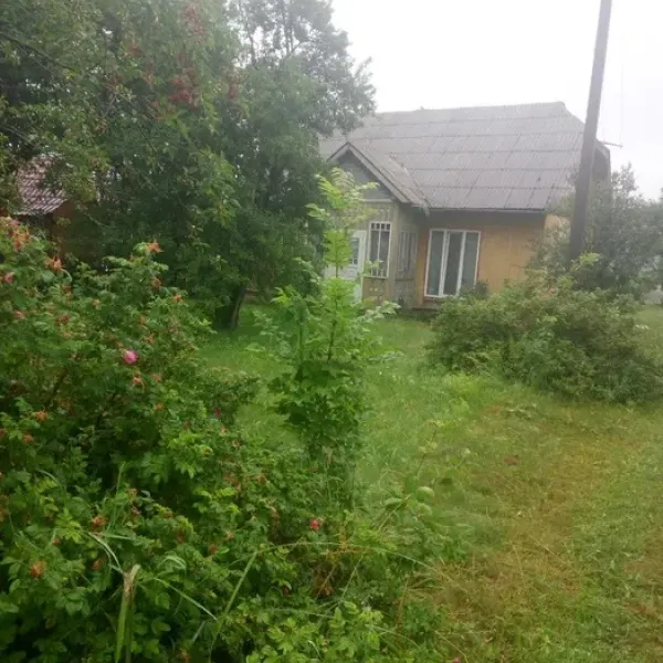 Pidlisky — photo 3