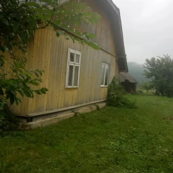 Pidlisky — photo 2