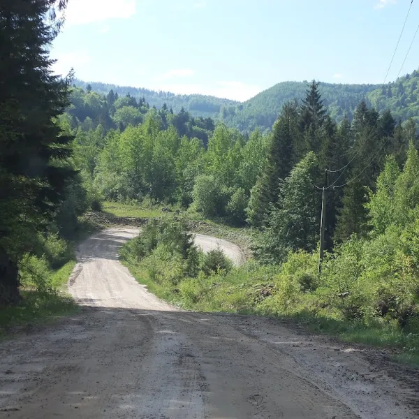 Pidlisky — photo 1