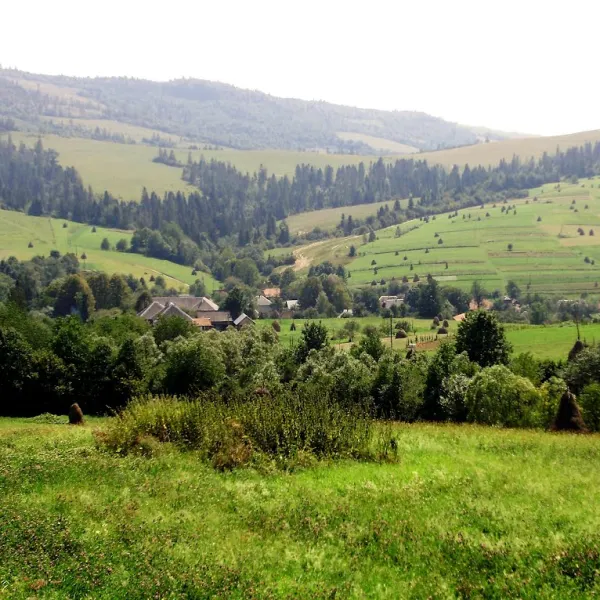 Плай