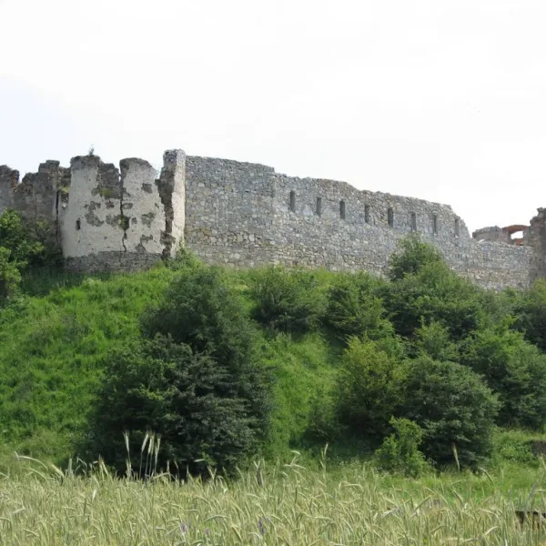 Pniów — zdjęcie 1