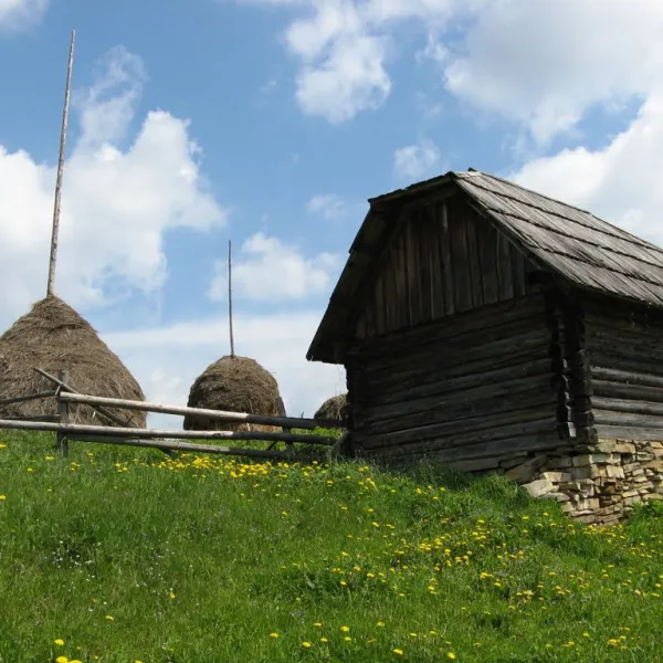 Поляківське — фото 1