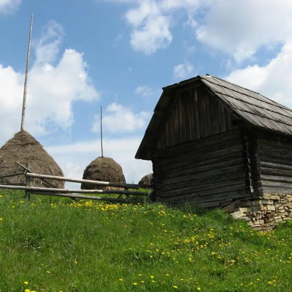 Poliakivske — photo 4