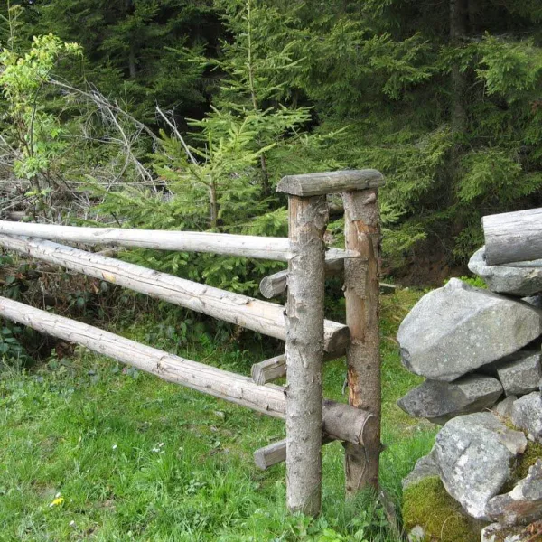 Poliakivske — photo 3