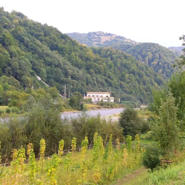 Protyven — photo 1