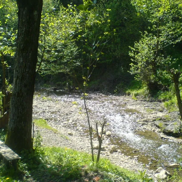Rososh — photo 1