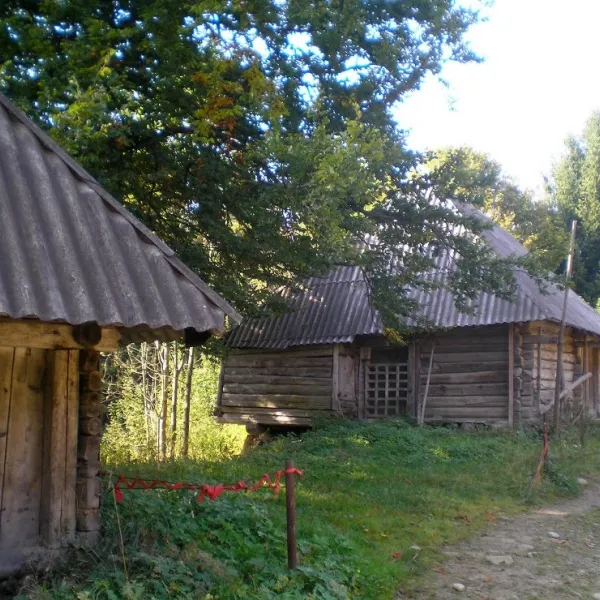 Roztoka — photo 1