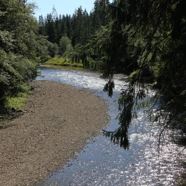 Senechiv — photo 1