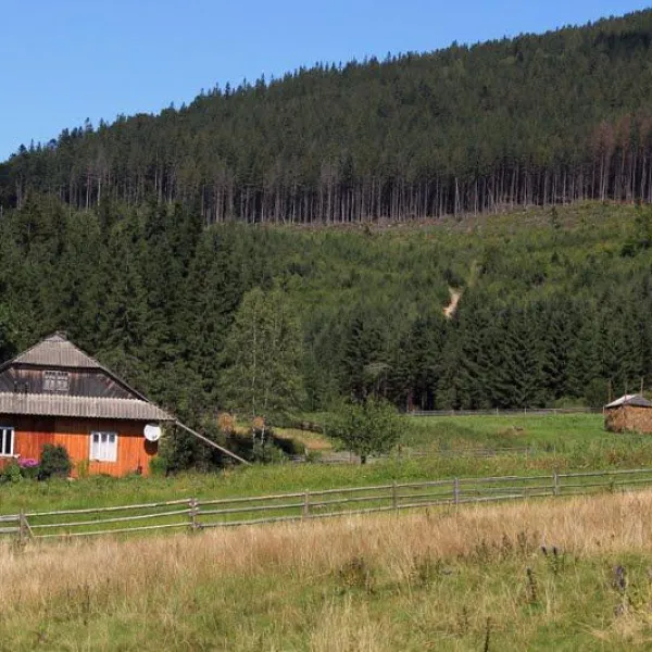 Senechiv — photo 3