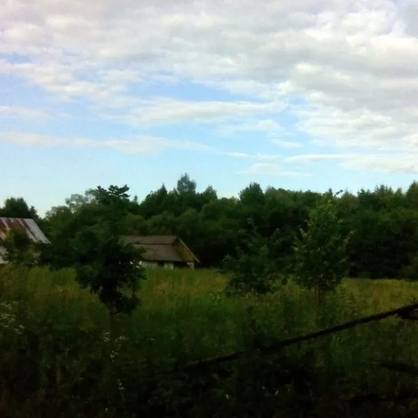 Majdan Średni — zdjęcie 1