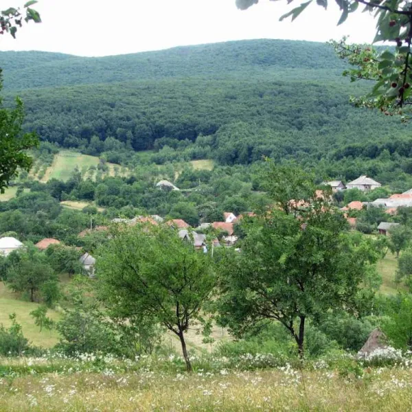 Szczasływe — zdjęcie 1