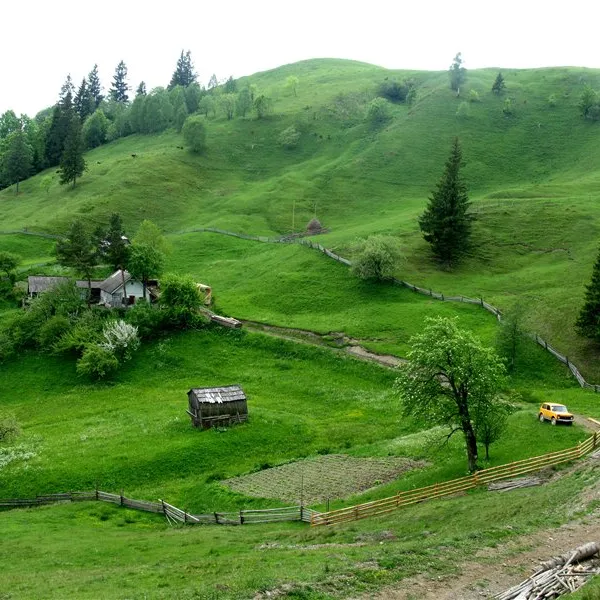 Szepit — zdjęcie 2