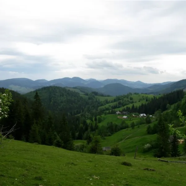 Szepit — zdjęcie 1