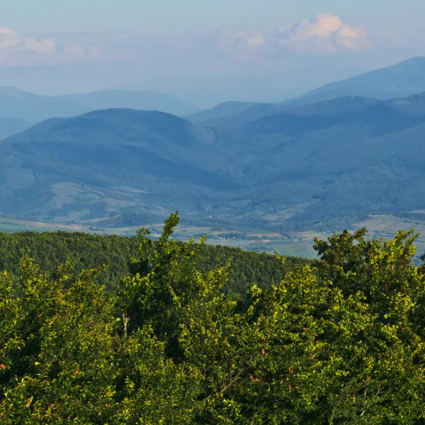 Стужиця — фото 1