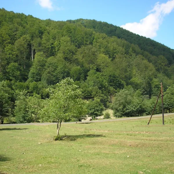 Turja Polana — zdjęcie 1