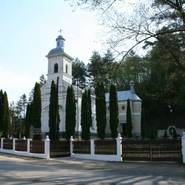 Тур'ї Ремети — фото 1