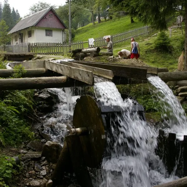Wilszany — zdjęcie 1