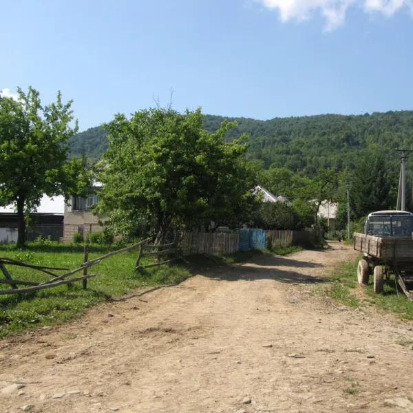 Vilshynky — photo 1