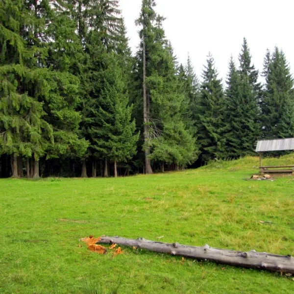 Voronenko — photo 1