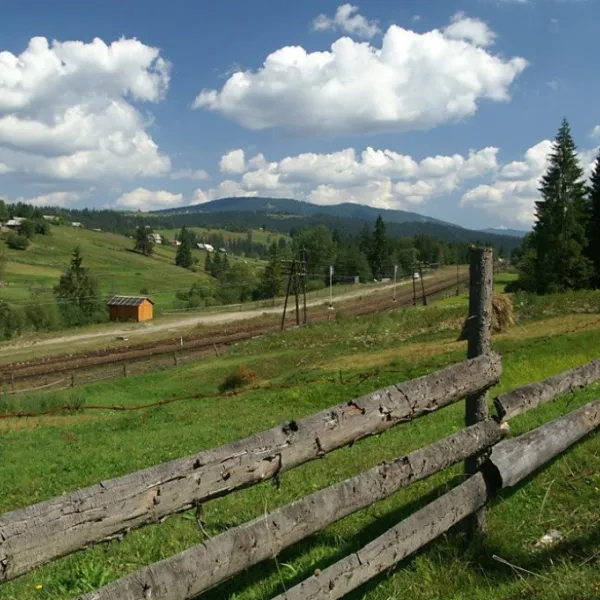 Voronenko — photo 2