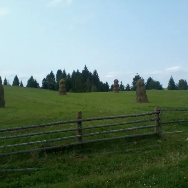 Wołcze — zdjęcie 1