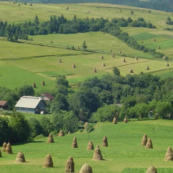 Żupanie — zdjęcie 1