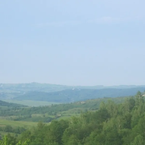 Bitków — zdjęcie 1