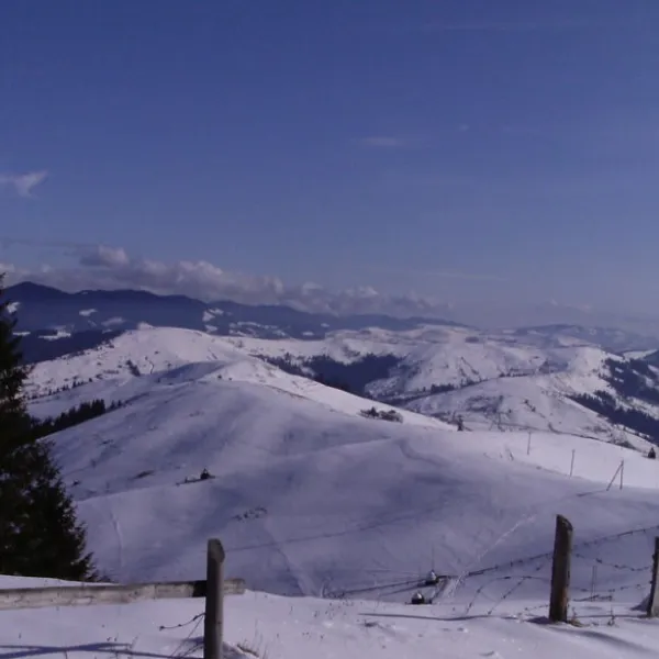 Stebni — photo 1