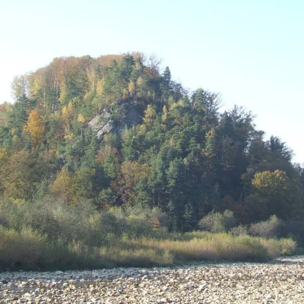 Novoselytsia — photo 4