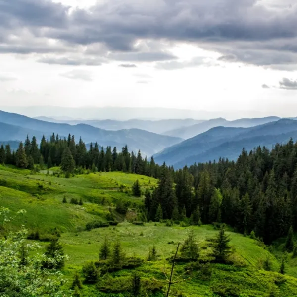 Верховина