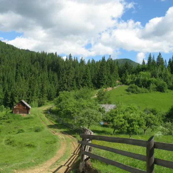 Verkhovyna — photo 5