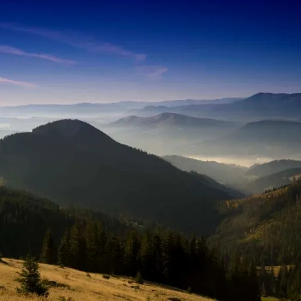 Verkhovyna — photo 3