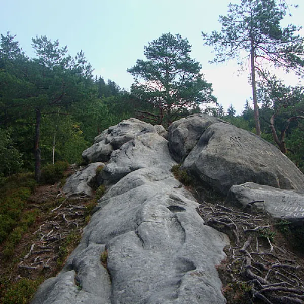 Вижницький район — фото 4