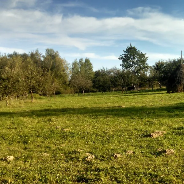 Kosiv district — photo 5