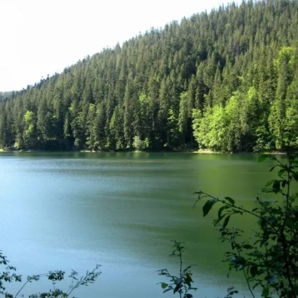 Transcarpathian region — photo 2