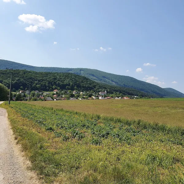 Buková — photo 3