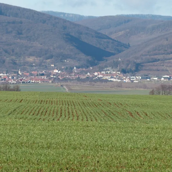 Doľany — photo 2