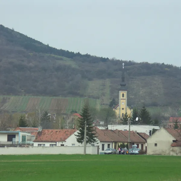 Горне Орешани — фото 1