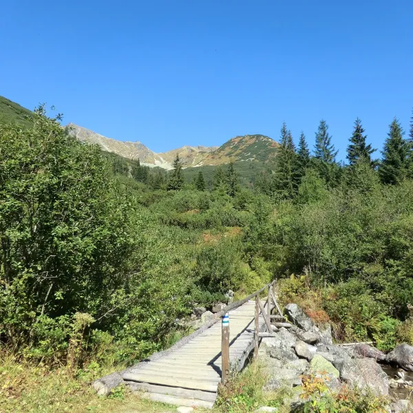 Žiar — photo 2