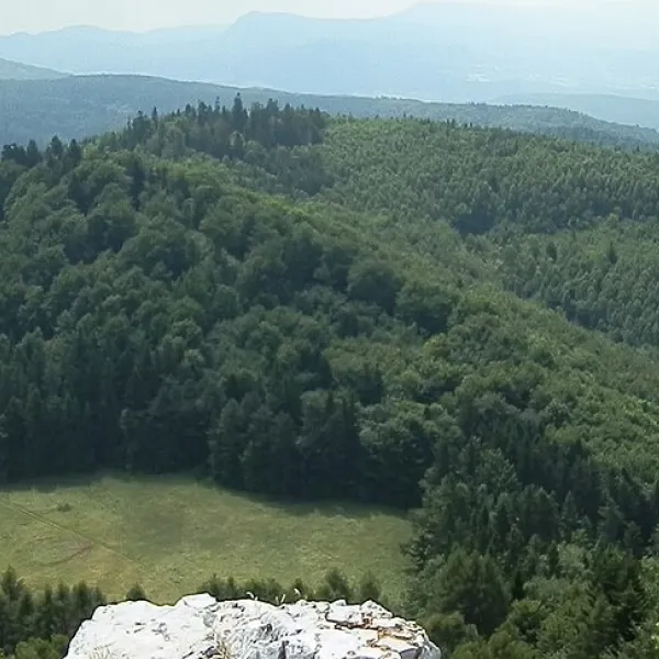 Jasenovo — zdjęcie 3