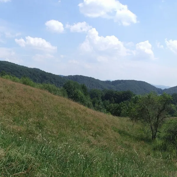 Kokuszka — photo 2