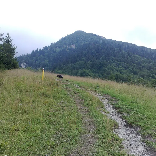 Nezbudská Lúčka — zdjęcie 2