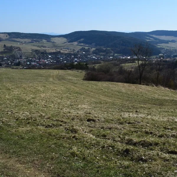 Papradno — zdjęcie 3