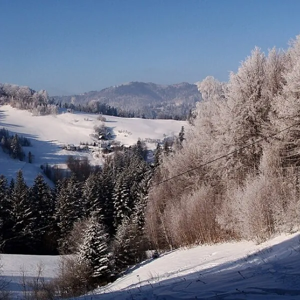Piwniczna-Zdrój — photo 4