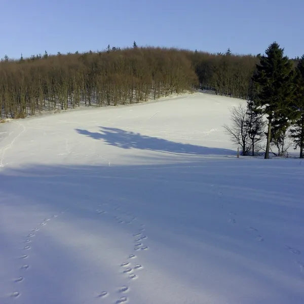 Podhradík — photo 2
