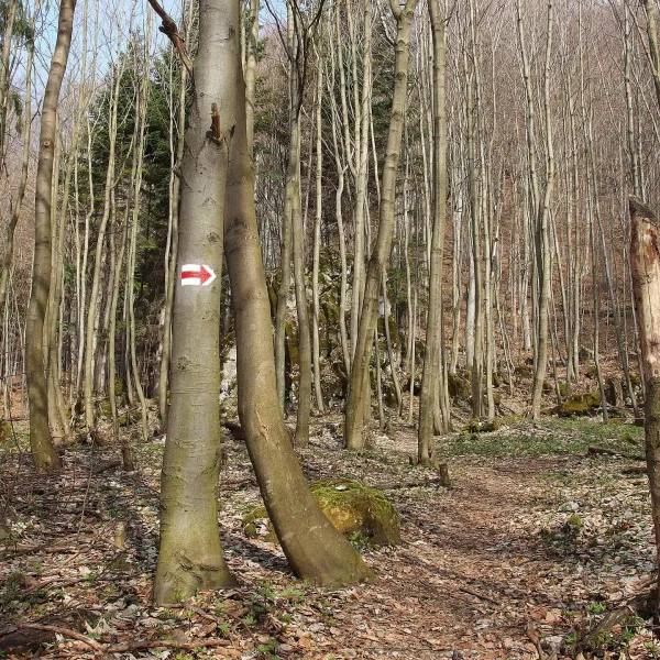 Sklabinský Podzámok — zdjęcie 2