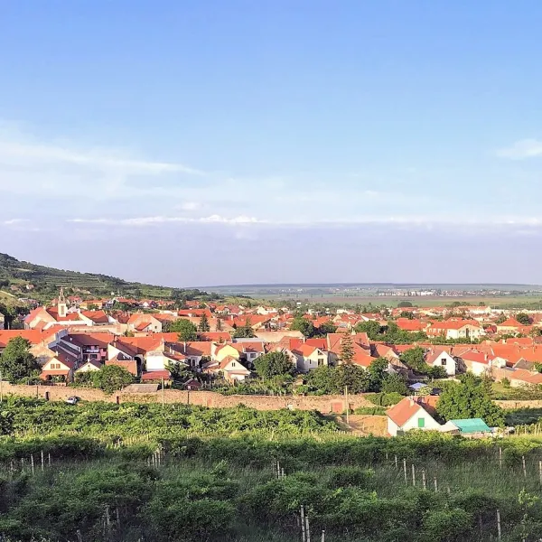 Pezinok District — photo 2