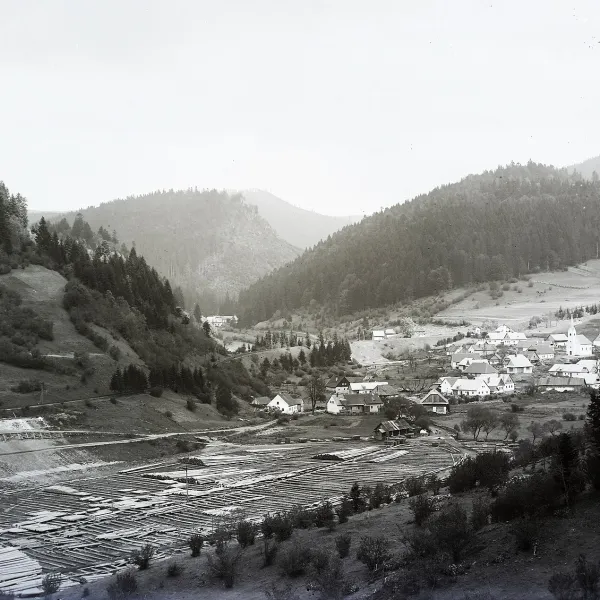 Turček — photo 2