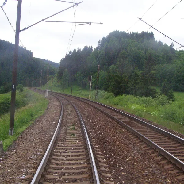 Ważec — zdjęcie 3
